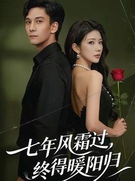 七年风霜过,终得暖阳归